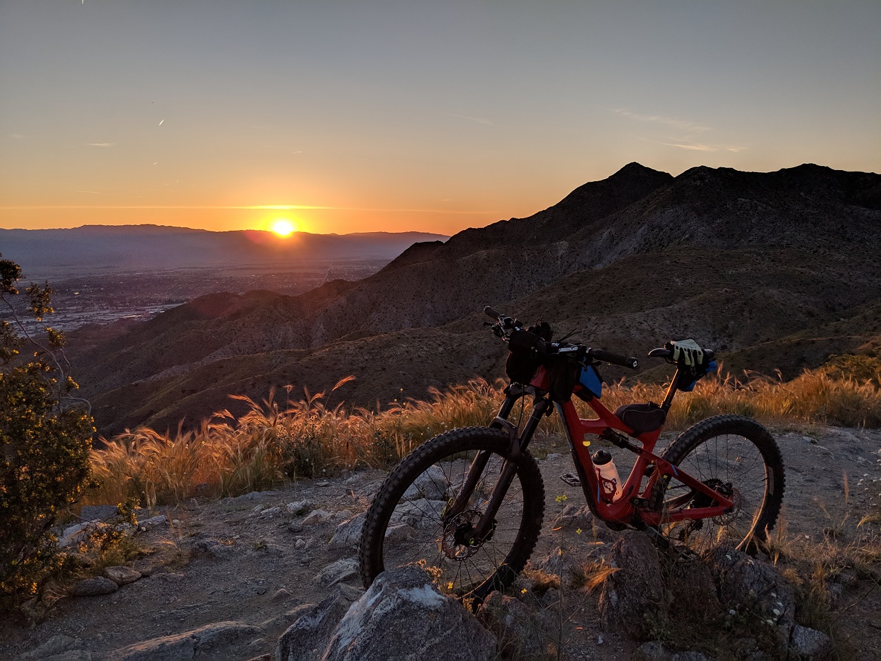 palm canyon epic